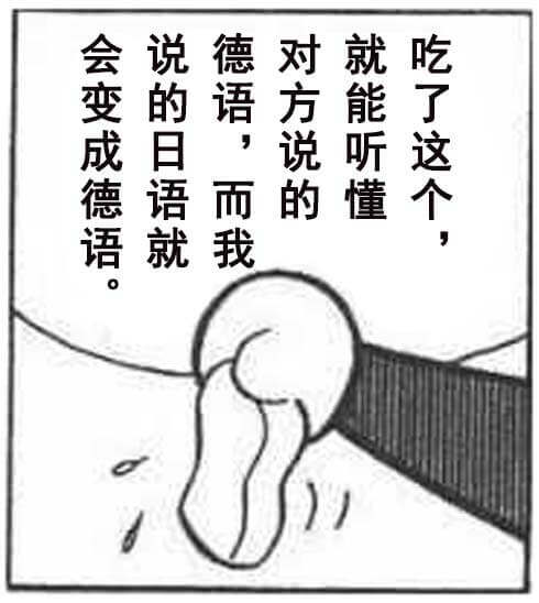 Translation_konjak.jpg